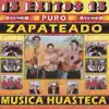 Trío Imperial Hidalguense - Música Huasteca: Zapateado Imperial